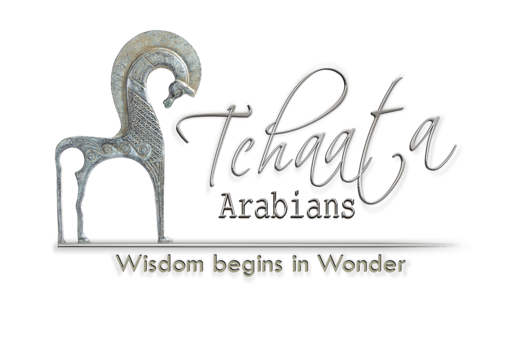 Tchaata Arabians